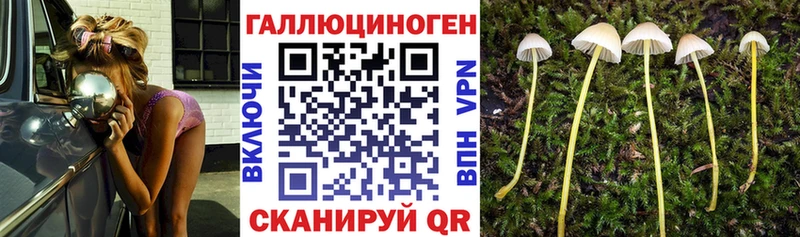 Псилоцибиновые грибы Psilocybe  это Telegram  Сурск 